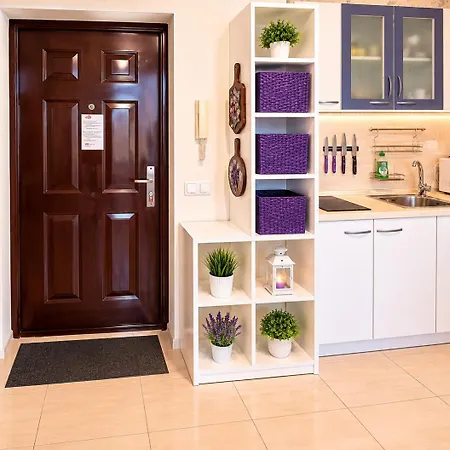 Orchid Flower Apartment *